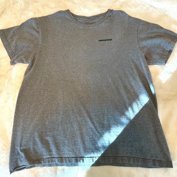 Patagonia Other - Patagonia Tshirt